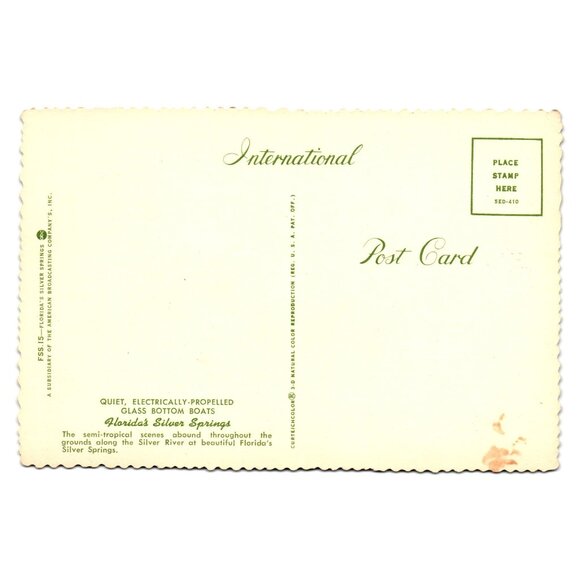 Vintage Florida Silver Springs Postcard Bottom Boats Tropical Landscape Vacation - Picture 2 of 2